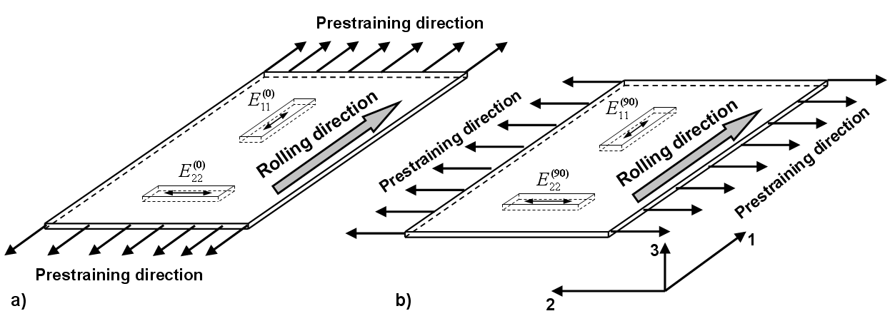 A specimen cutting for Young's modulus measurements